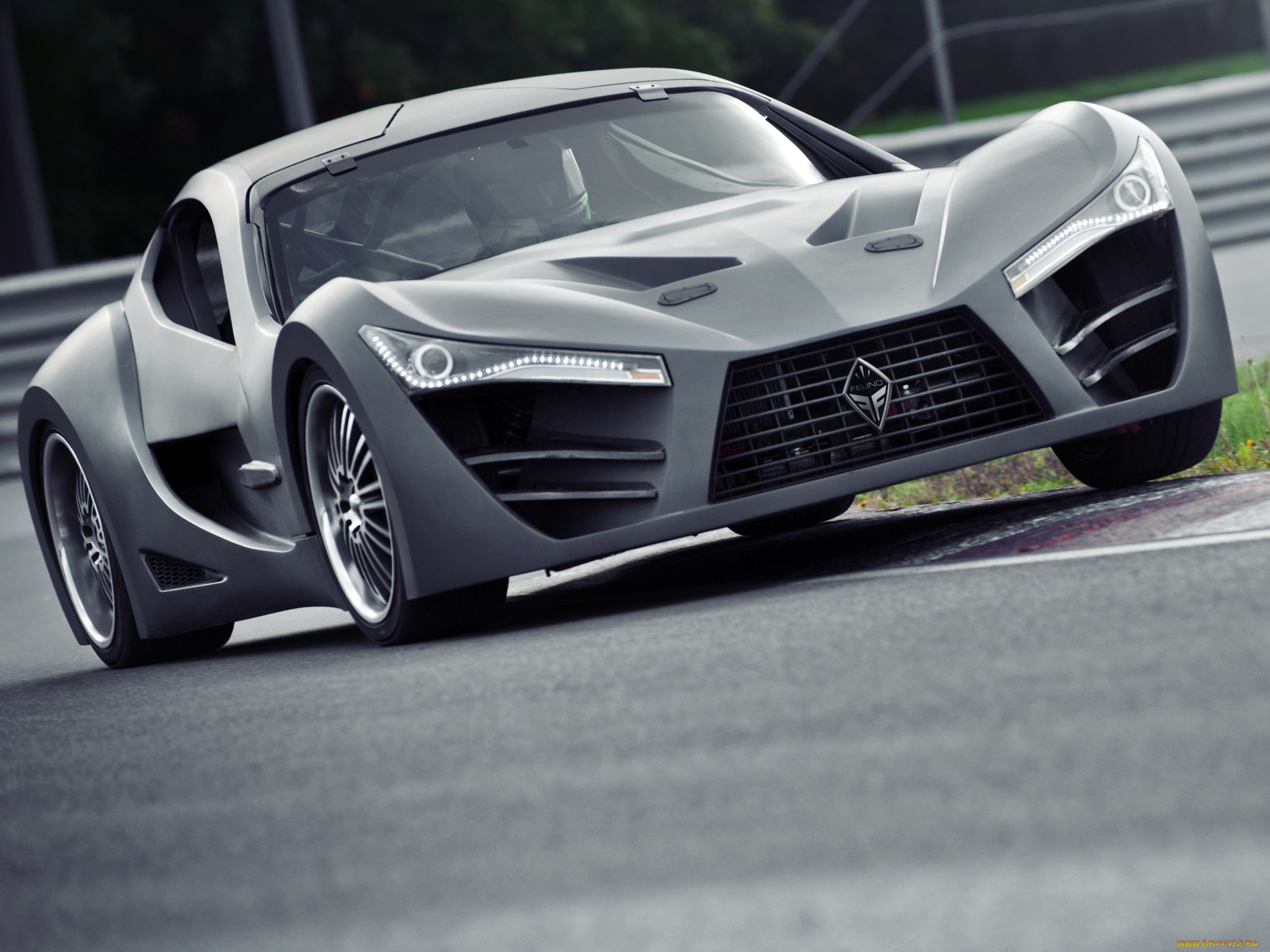 felino cb7